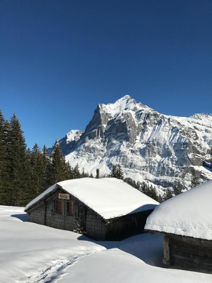 Chalet Sunneblick Grindelwald Exterior foto