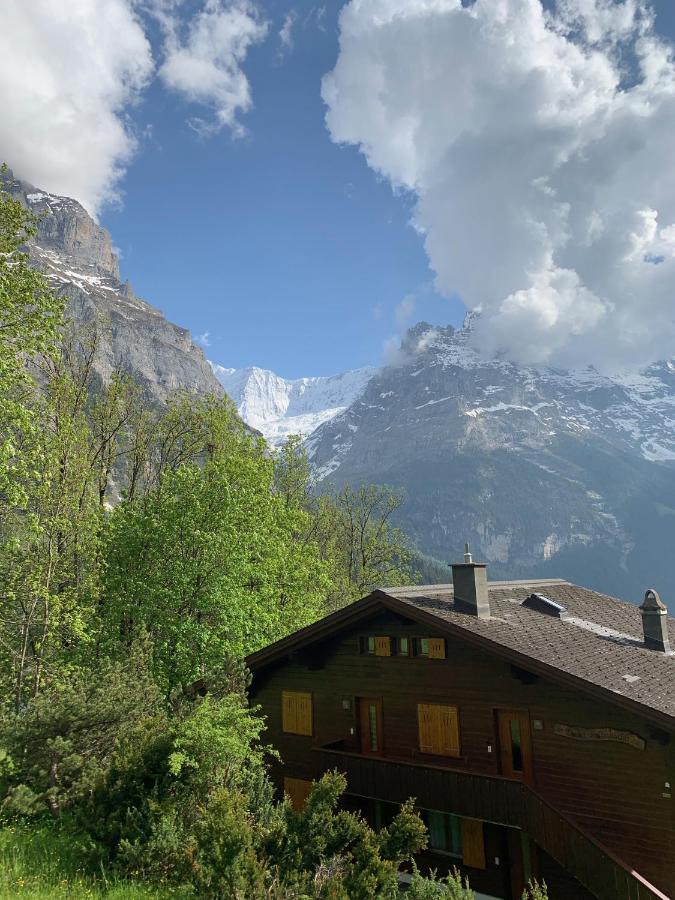 Chalet Sunneblick Grindelwald Exterior foto
